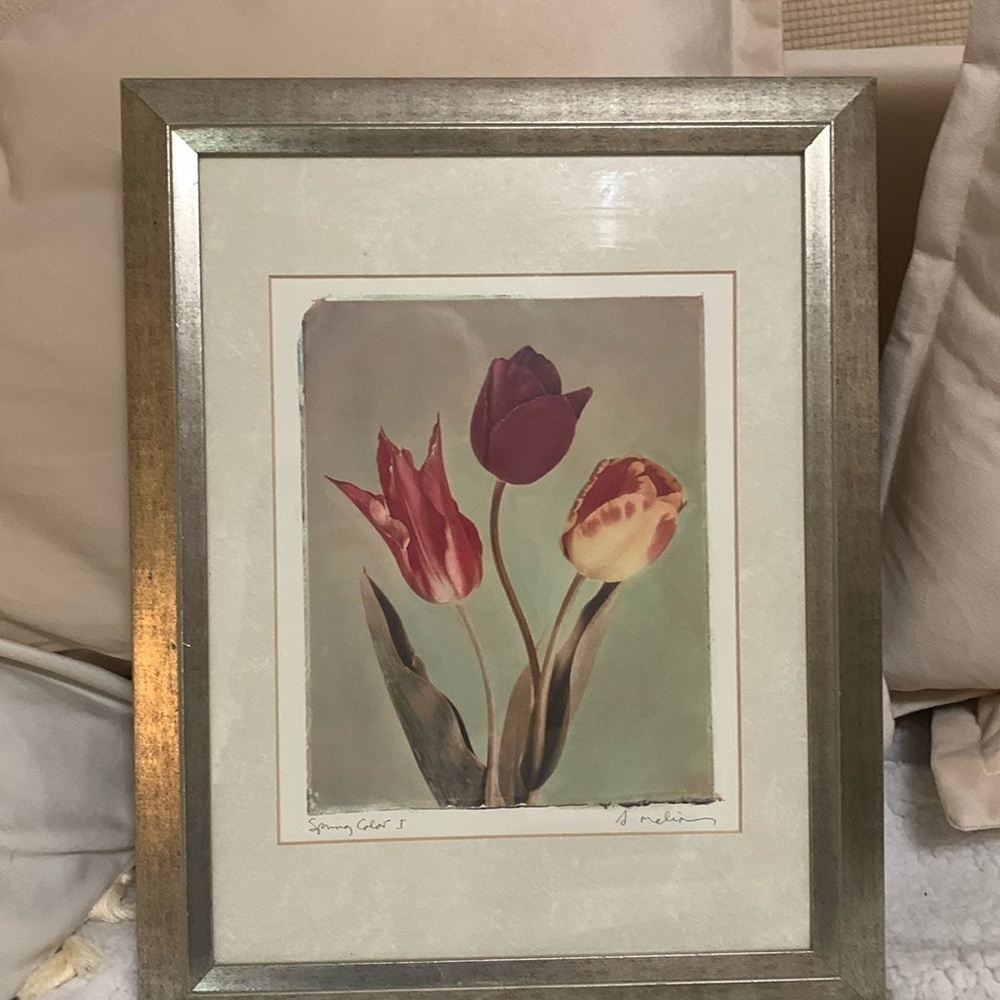 Beautiful framed picture, tulips